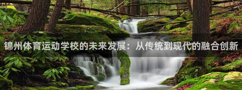 k1体育十年品牌值得信赖网址：锦州体育运动学校的未来发展：从传统到现代的融合创新