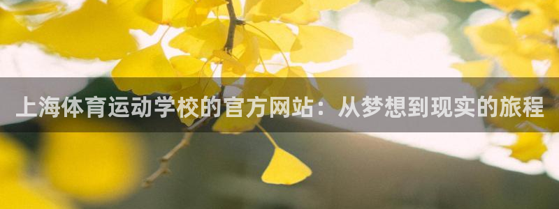k1体育十年品牌值得信赖：上海体育运动学校的官方网站：从梦想到现实的旅程
