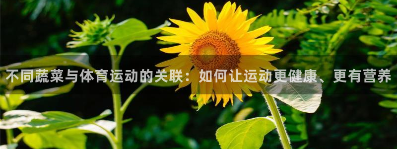 k1体育app下载链接：不同蔬菜与体育运动的关联：如何让运动更健康、更有营养