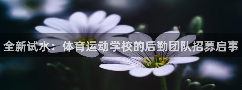 k1体育平台最新网站下载：全新试水：体育运动学校的后勤团队招募启事