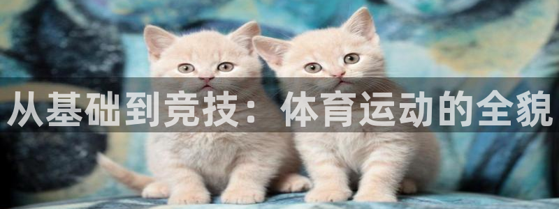 k1体育网址：从基础到竞技：体育运动的全貌