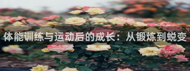 k1体育下载地址：体能训练与运动后的成长：从锻炼到蜕变