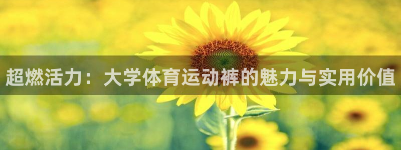 k1体育十年登录入口：超燃活力：大学体育运动裤的魅力与实用价值