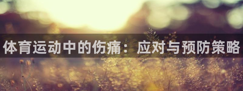 k1体育网站登录官网：体育运动中的伤痛：应对与预防策略
