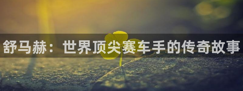 k1体育十年品牌值得信赖网址：舒马赫：世界顶尖赛车手的传奇故事