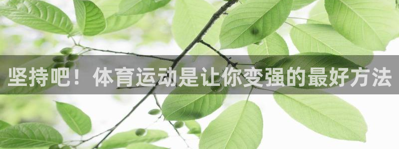 k1体育app：坚持吧！体育运动是让你变强的最好方法