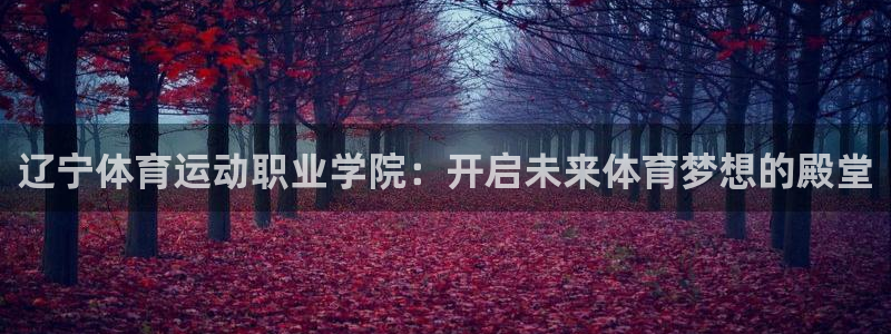 k1体育入口：辽宁体育运动职业学院：开启未来体育梦想的殿堂