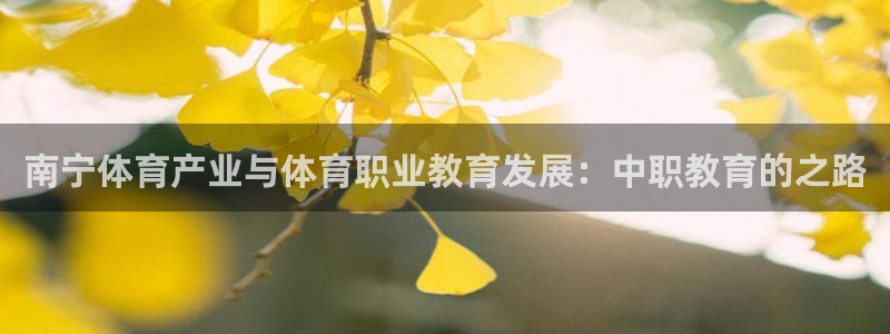 帮k1体育在线登录：南宁体育产业与体育职业教育发展：中职教育的之路