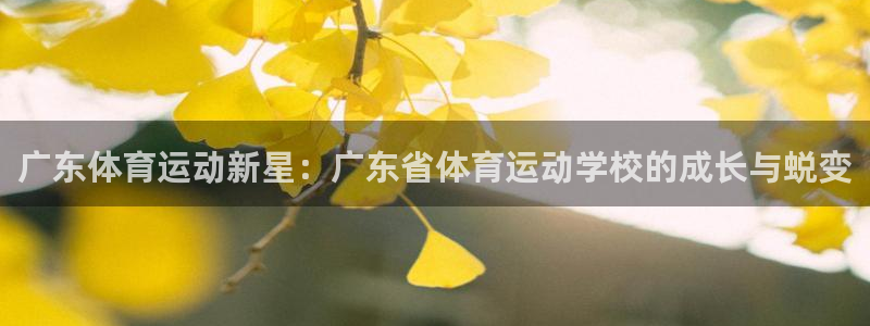 k1体育娱乐：广东体育运动新星：广东省体育运动学校的成长与蜕变