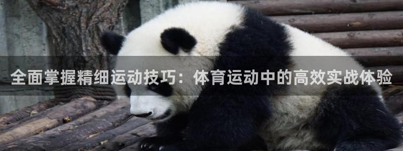 k1体育棋牌：全面掌握精细运动技巧：体育运动中的高效实战体验