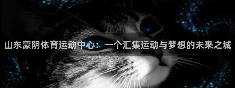 k1体育 十年品牌：山东蒙阴体育运动中心：一个汇集运动与梦想的未来之城